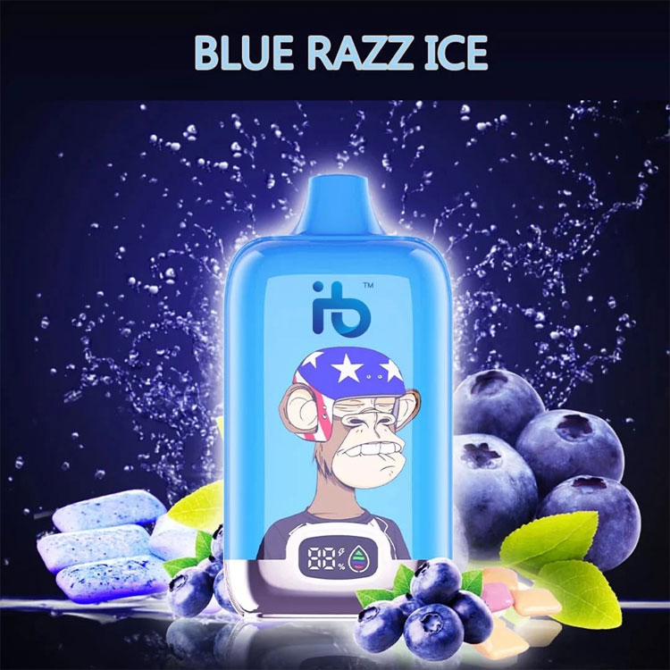 E-cigaretta Insights and Health Risks: Understanding E-cigaretta Use and Seizures Concerns